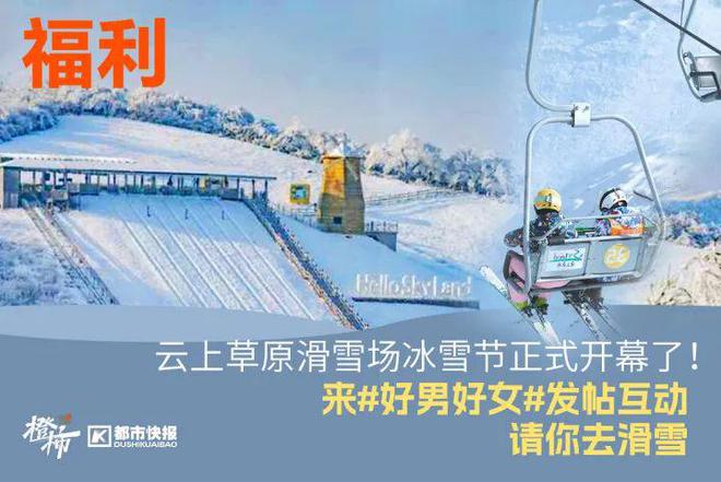 、霸王茶姬动物手机支架……橙柿超多福利送送送ayx爱游戏app时髦人都有的巴拉克拉法帽(图4)