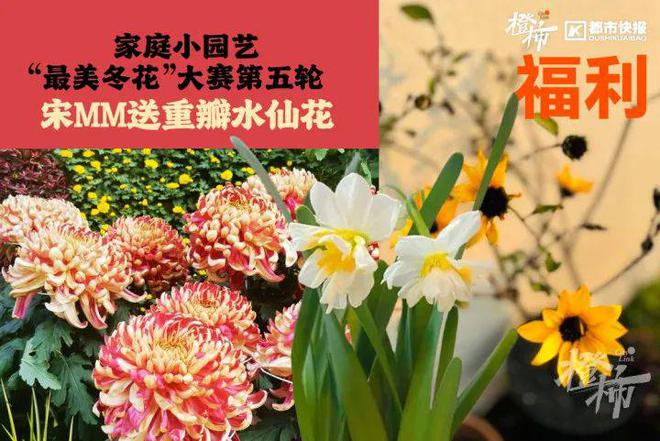 、霸王茶姬动物手机支架……橙柿超多福利送送送ayx爱游戏app时髦人都有的巴拉克拉法帽(图6)